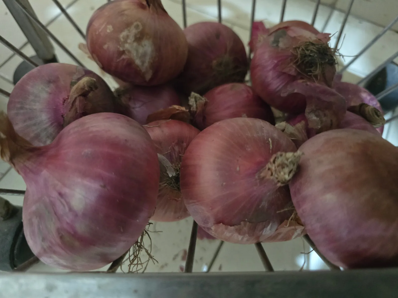 Onions for Sale