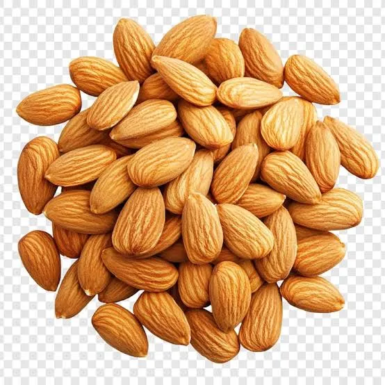 Cashew  Demo for Sale