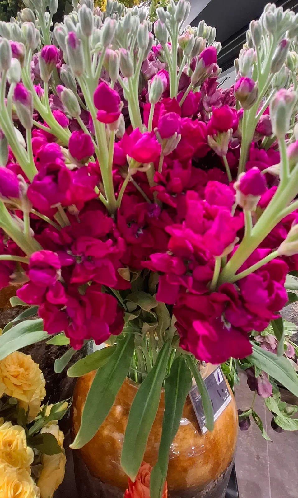 Flowers for Sale